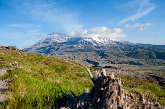 Mt St Helens National Monument, WA