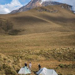 Los Nevados National Park – Buy Code COL0045